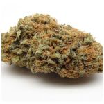 Шишки AK47 (Гидропоника, Бошка) VHQ в Звенигороде Шишки AK47 (Гидропоника, Бошка) VHQ в Звенигороде